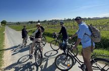 Saint-Emilion vineyards e-bike tour and wine tasting