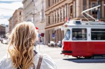 Vienna combo tickets with Schönbrunn, walking tour and transport