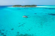 Zanzibar catamaran and snorkelling tour to Mnemba Marine Park