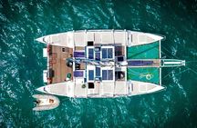 Zanzibar catamaran and snorkelling tour to Mnemba Marine Park