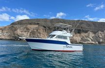 Gran Canaria dolphin watching morning experience