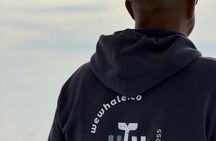 Gran Canaria dolphin watching morning experience