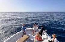 Gran Canaria dolphin watching sunset experience