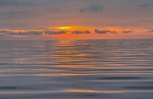 Gran Canaria dolphin watching sunset experience