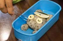 Character-Themed Bento Cooking Class