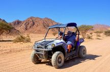 Sharm desert combo buggy ride, bedouin dinner, show and stargazing