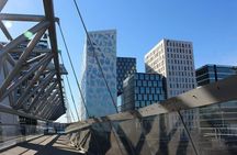 Private architecture walk through Oslo with a local expert