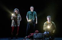 Tickets for Stranger Things the Musical at the Phoenix Theatre