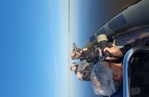 Birdwatching boat tour in Lisbon