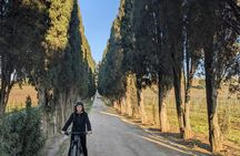 Frascati vineyard and wine tasting e-bike adventure from Rome