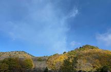 Half-Day 4x4 Tour of Mount Etna with Lava Cave and Local Tastings