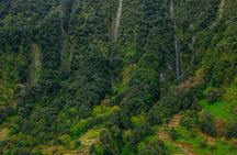 Levada do Alecrim and Lagoa do Vento self-guided experience