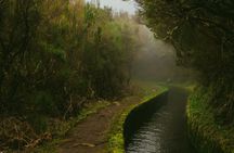 Levada do Alecrim and Lagoa do Vento self-guided experience