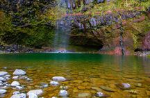 Levada do Alecrim and Lagoa do Vento self-guided experience