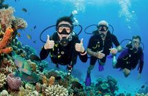 Intro diving for beginners and Red Sea cruise in Sharm El Sheikh