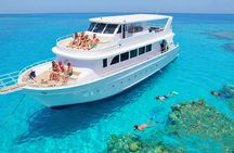Tiran Island VIP cruise experience with snorkelling and lunch