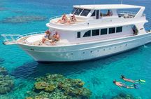 Tiran Island VIP cruise experience with snorkelling and lunch