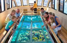 Glass-bottom boat tour from Sharm El Sheikh