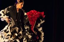 Dinner and Flamenco show in Alicante Marina with private transfer
