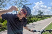 Orvieto and Civita E-Bike tour with private transfer from Rome