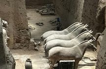 Half-Day Private Guided Tour of the Terracotta Army Museum