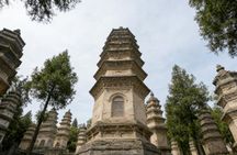 Private Day Tour to Shaolin Temple and Longmen Grottoes from Luoyang