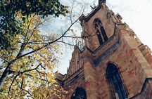 Colmar 2-hour introductory walking tour with a local