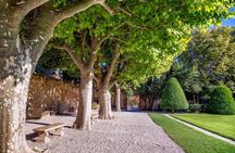 Discover Aix-en-Provence in 90 minutes with a local