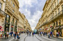 90-minute guided tour around Bordeaux with a local guide