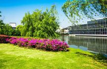 Tour of London's most photogenic spots with a local