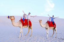 Abu Dhabi sunrise desert adventure with dune bashing and camel ride