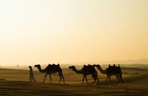 Abu Dhabi sunrise desert adventure with dune bashing and camel ride