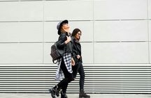 Discover Mulhouse on a guided walking tour with a local