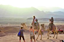Quad experience in the Sahara with dinner from Sharm El Sheikh