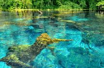 Gjirokastra UNESCO city and Ardenica full-day trip with pick-up