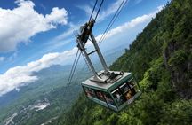 Private tour from Chengdu to Mount Emei with lunch and cable car