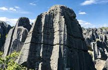 Private Kunming Stone Forest tour
