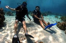 Scuba diving and snorkelling in North Phu Quoc