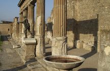 Pompeii and Naples tour by high-speed train