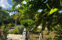 Hòfi Mango Nature Park entrance tickets with zipline experience