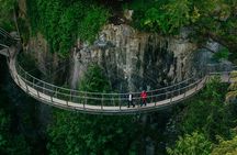 Vancouver scenic seaplane tour with Capilano Suspension Bridge