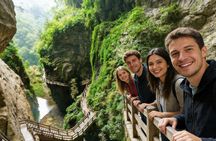 Full-day Wulong’s hidden gems private guided tour