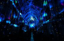 LUMINISCENCE UK at Manchester Cathedral: The 360° Immersive Concert