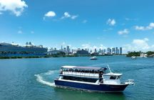 Biscayne Bay millionaire's row sightseeing boat tour
