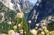 Albanian Alps tour from Tirana with a visit to the village of Theth