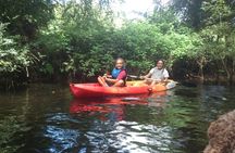 Miño River and Biosphere Reserve kayak exploration with refreshments