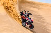 Desert safari with camel ride, sandboarding and buggy ride