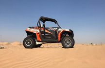 Desert safari with camel ride, sandboarding and buggy ride