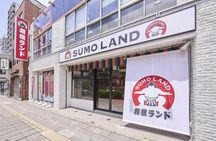 Sumo Show, chicken hot pot, and mochi-pounding