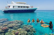 Snorkeling cruise with lunch and seascope submarine in Sharm el-Sheikh